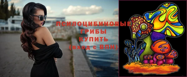 трава Армянск