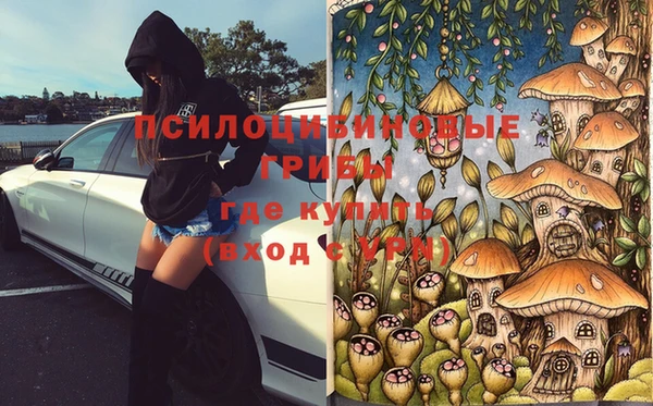 гидропоника Аркадак