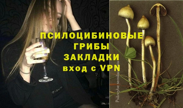 трава Армянск