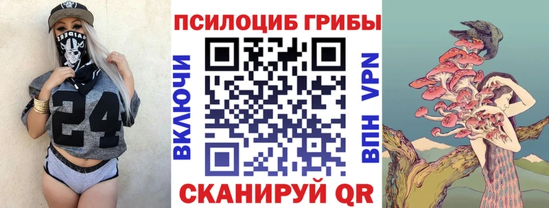 даркнет телеграм  Нововоронеж  Псилоцибиновые грибы GOLDEN TEACHER  kraken ONION 
