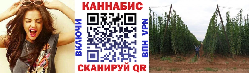 Канабис Amnesia как найти дарк нет телеграм Нововоронеж